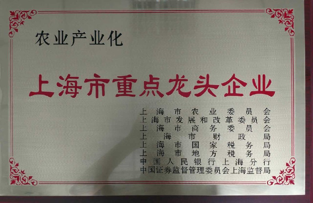 上海市重點龍頭企業