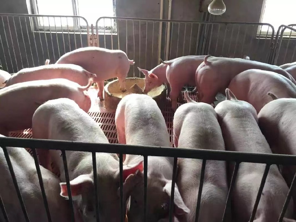 保育料客戶見證