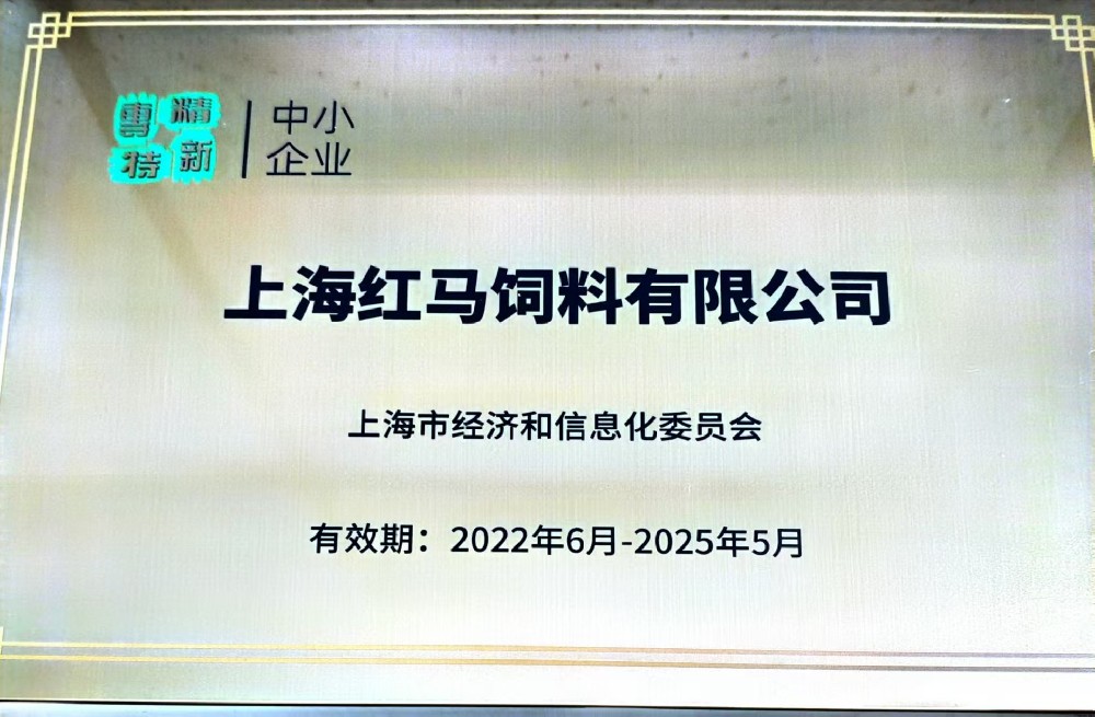 上海市專精特新中小企業